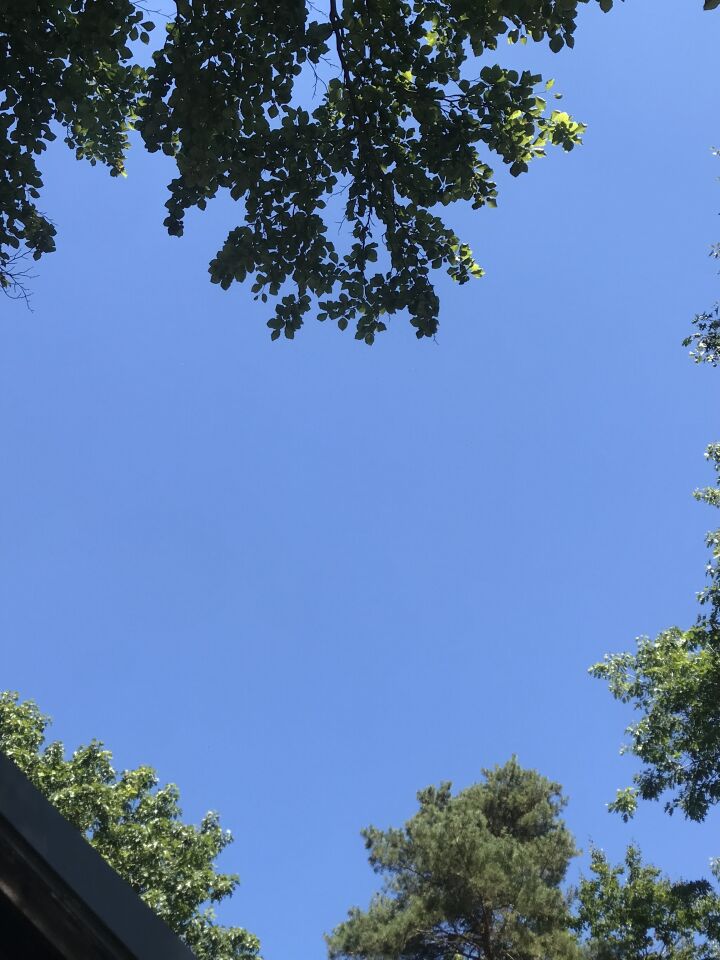Witte lichten foto