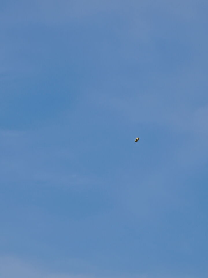 Mogelijk Drone, twee cirkels aan elkaar met felle lichten (zonweerkaatsing?) foto