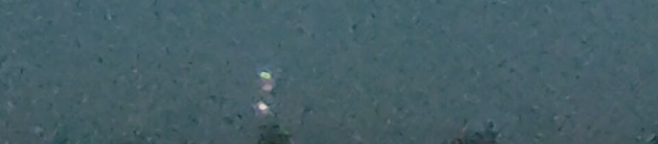 UFO filmpje rotterdam foto