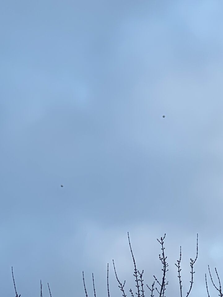 Ik zag 2 zilver/wit kleurig exact ronde bollen. foto