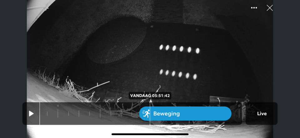 6 lichten op rij, 'laag' over terras. Lijken te scannen, vliegen dan snel weg. foto