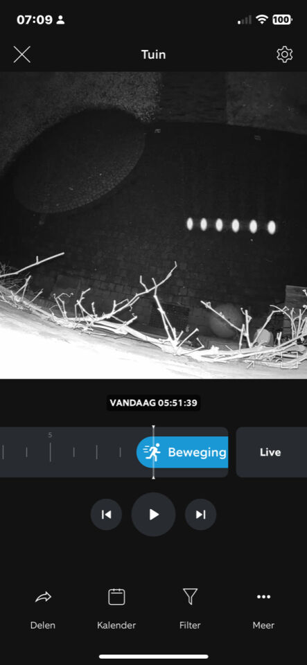 6 lichten op rij, 'laag' over terras. Lijken te scannen, vliegen dan snel weg. foto