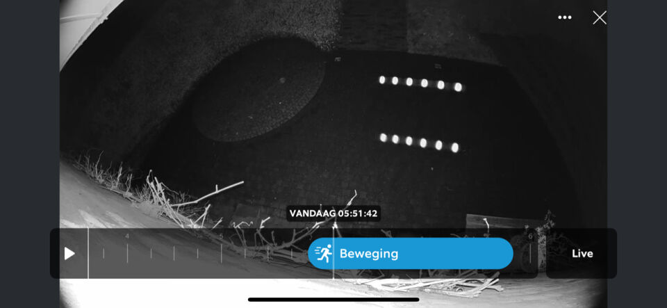 6 lichten op rij, 'laag' over terras. Lijken te scannen, vliegen dan snel weg. foto