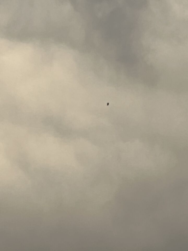 Een zwarte stip die iets groter werd en daarna verdween tussen de wolken. foto