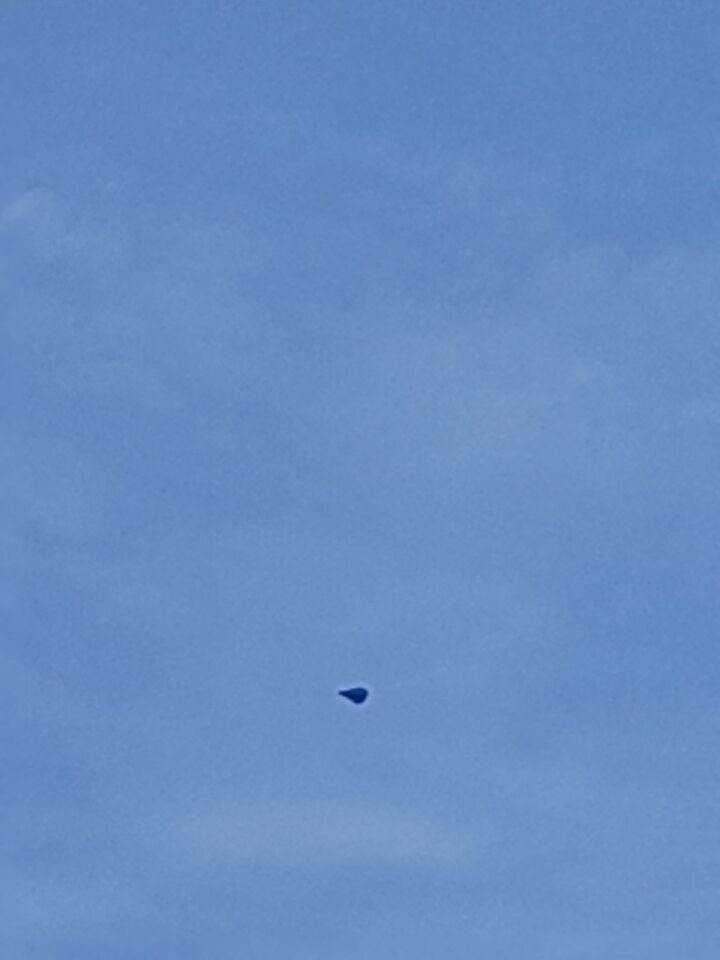 1 wieber vorm object foto