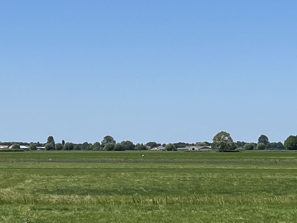 Draaiende metalen reflecterende bal in weiland foto