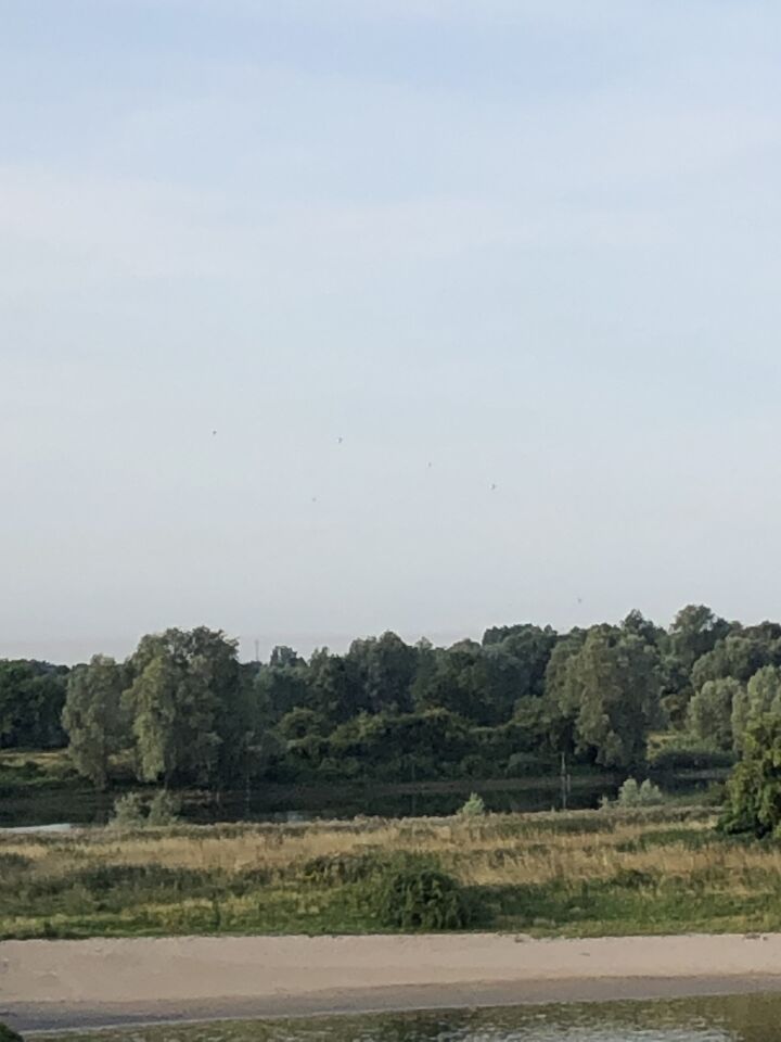 Zwarte bollen foto