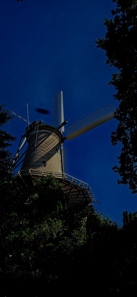 Ik vind dat er iets raars op mijn foto staat. foto