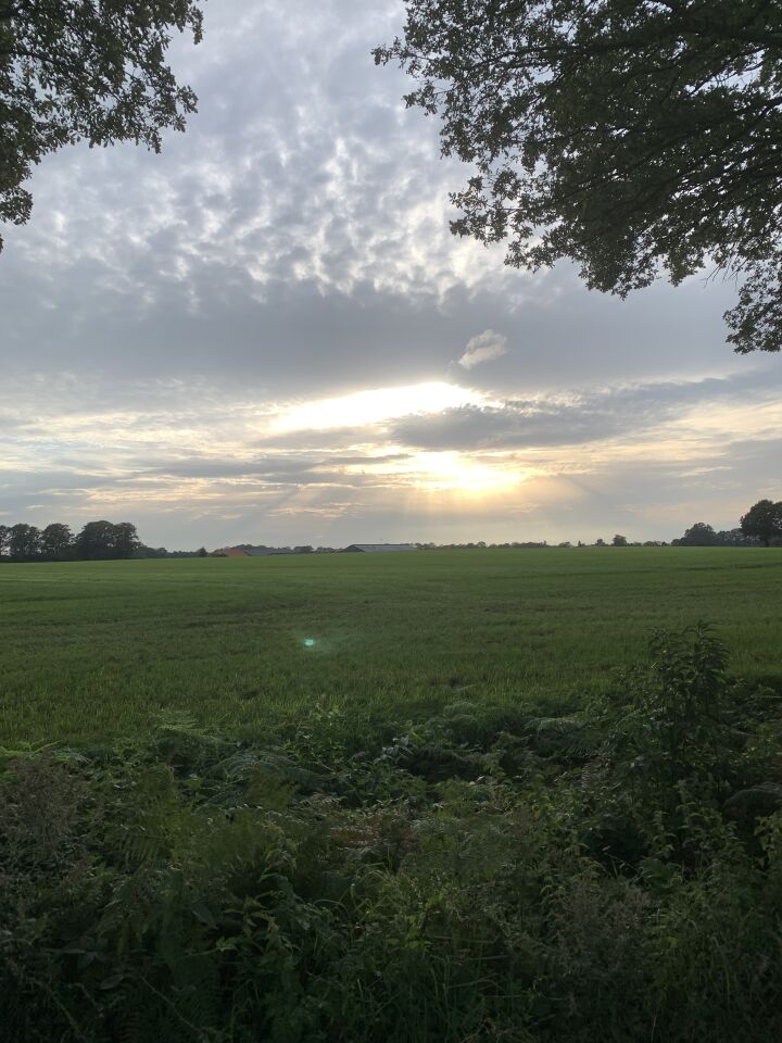 Blauw licht met een waas er omheen foto