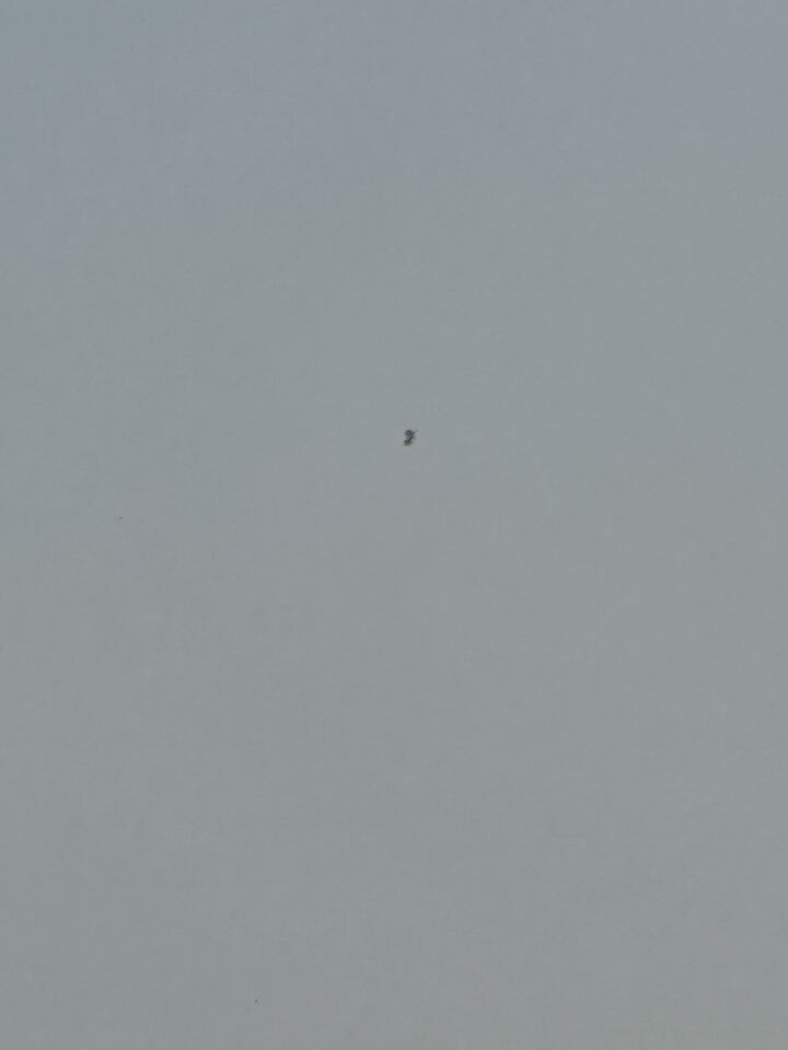 Grijs object, hoog in de lucht dat ook van vorm leek te veranderen. foto