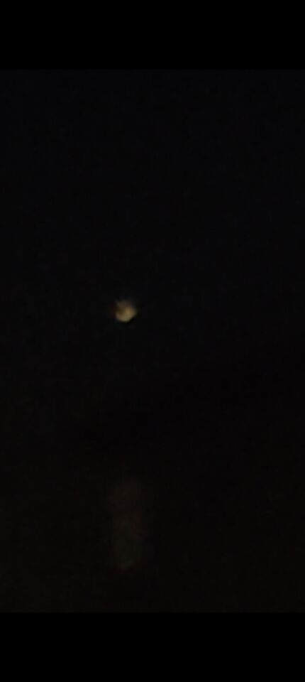 Geel Oranje orb? foto