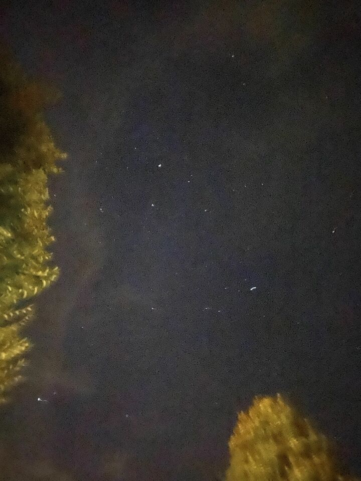 Ze waren geweldig zichtbaar ongv 7 langzaam gingen ze weg alsof ze verdwenen en. foto