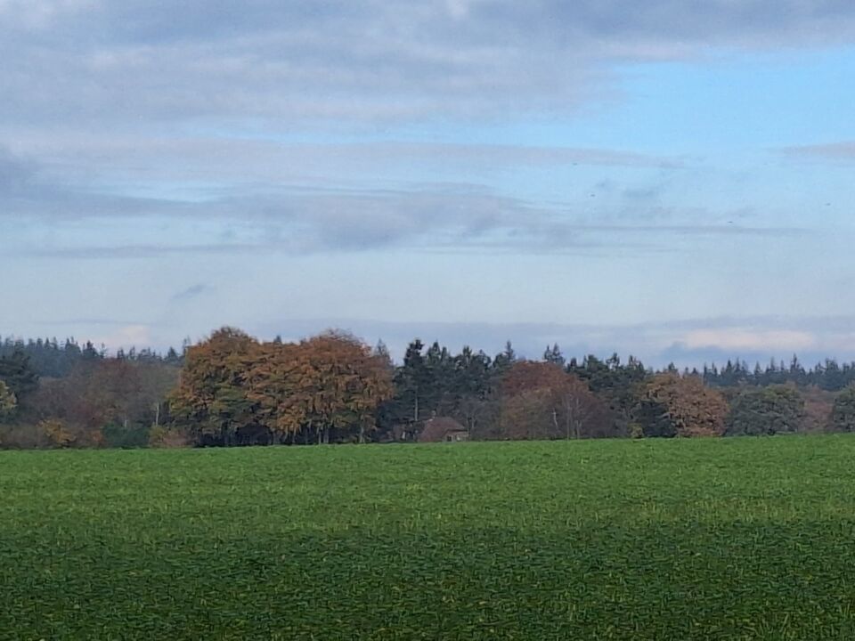 Zag t pas bij terugkijken foto foto