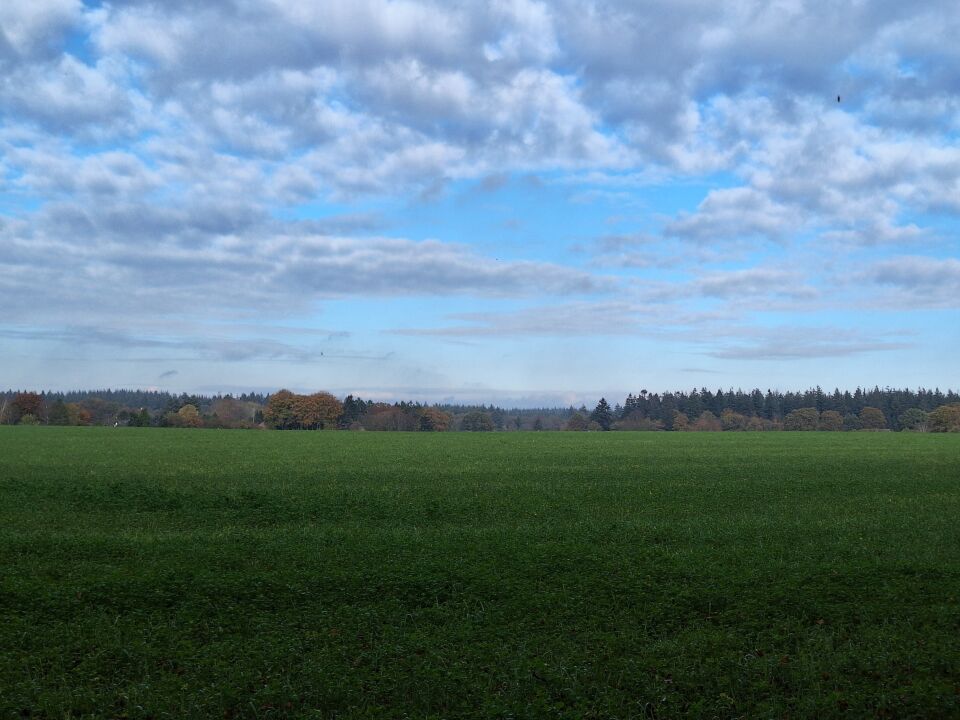 Zag t pas bij terugkijken foto foto