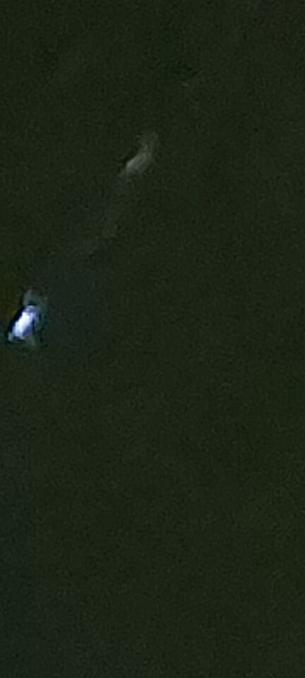Er kwam een UFO omlaag nadat ik een verblindend licht aan de horizon zag. foto