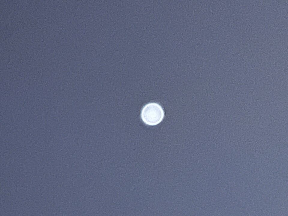 Bewegende donut welke reageerde op licht. foto