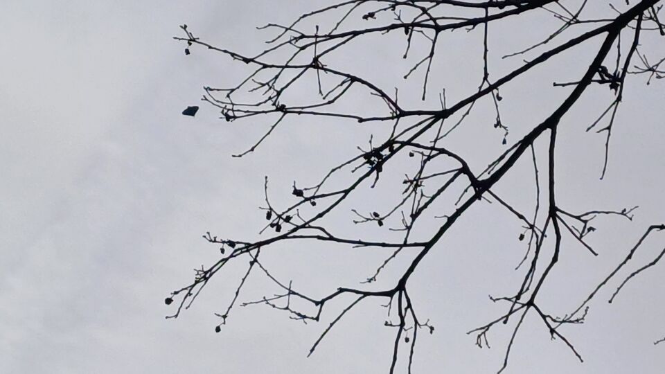 Raar voorwerp vloog door de lucht in een rechte lijn. foto