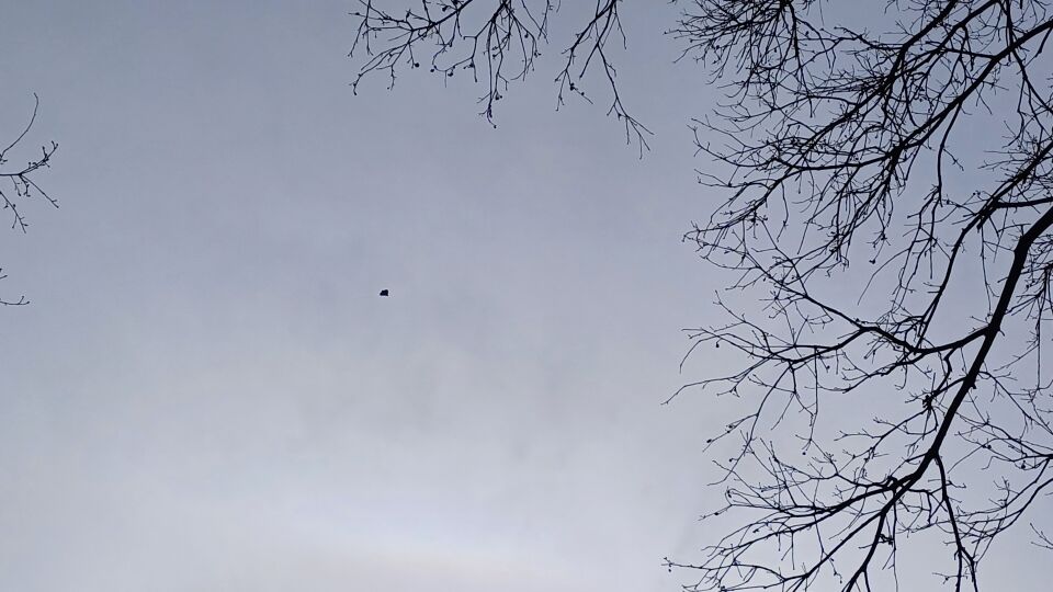 Raar voorwerp vloog door de lucht in een rechte lijn. foto