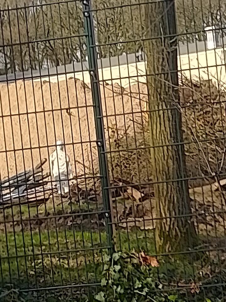 Wit figuur, beweegt met de wind mee. Verdween na een paar seconden. foto