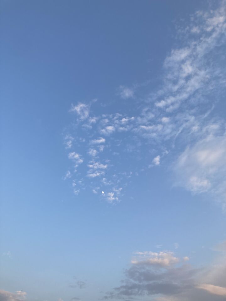 Zwarte ruit foto