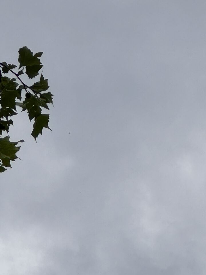 Ronde donkere bal die langzaam in een rechte lijn voortbewoog foto