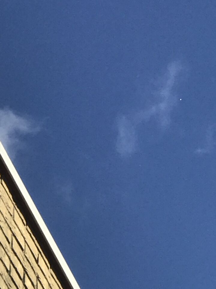 Op deze dag was het mijn papegaai die angstig naar de lucht keek, waarna ik ook foto
