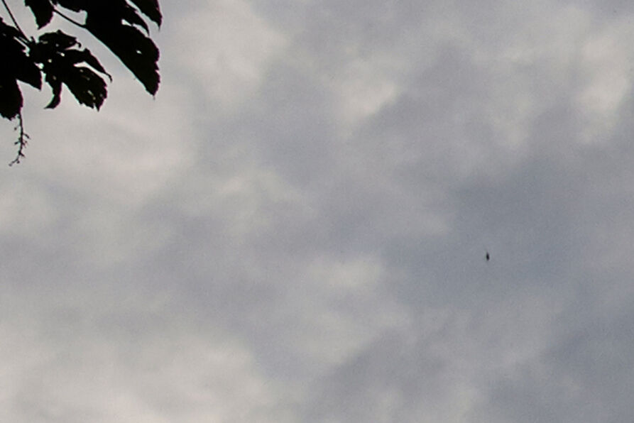 Aanvulling van vandaag eerder gezonden melding foto
