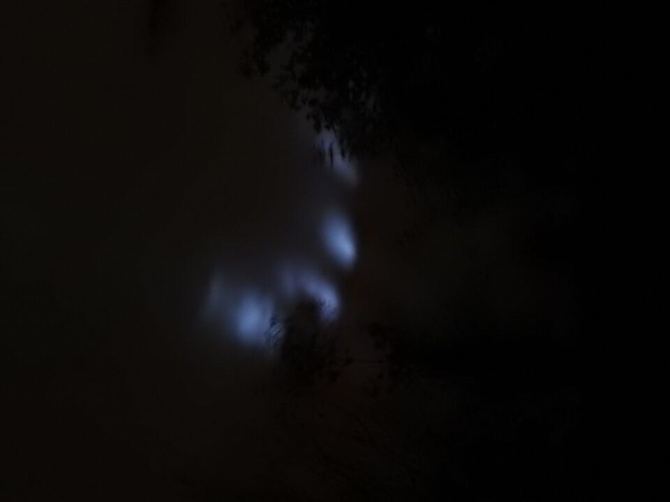 Blauwe lichten foto