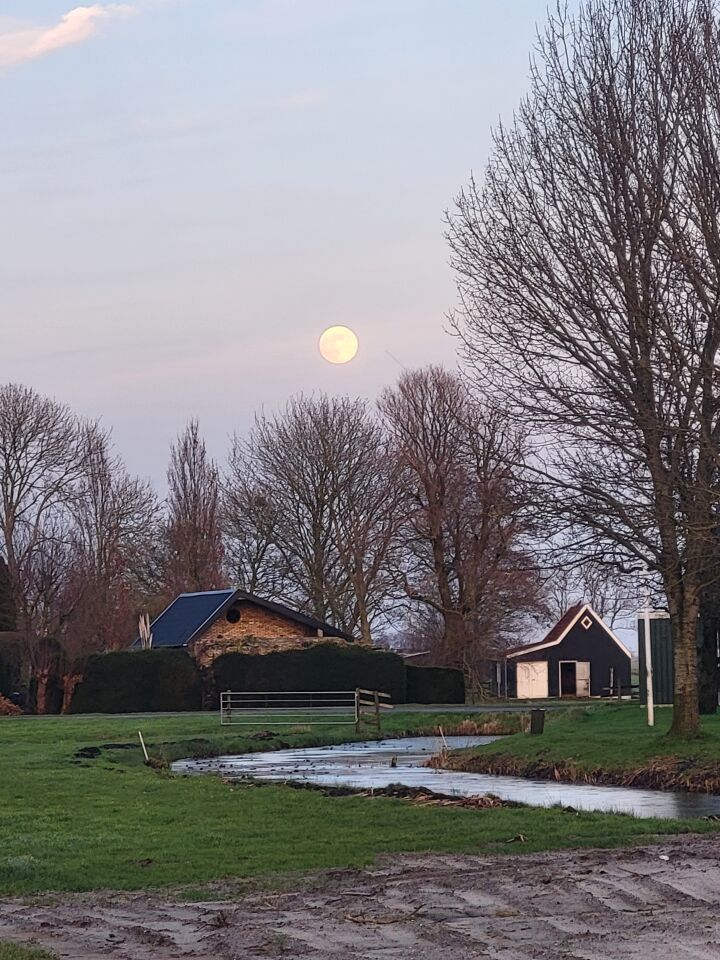 Bol langzaam naar beneden foto