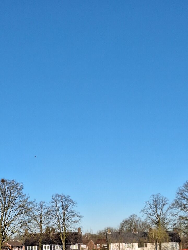 Rond wit voorwerp foto
