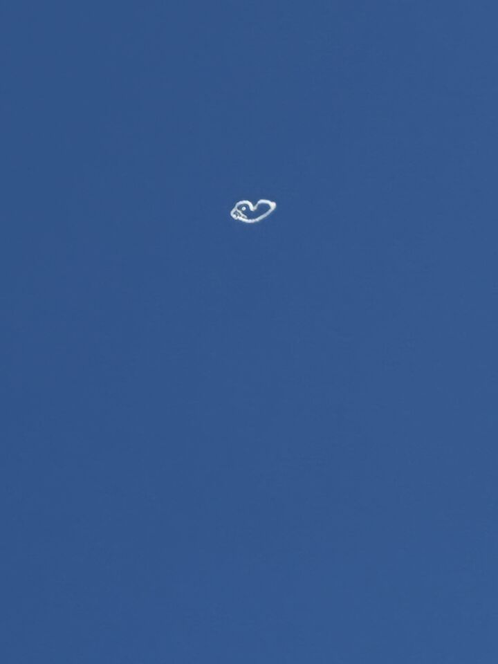 Rare witte worm foto