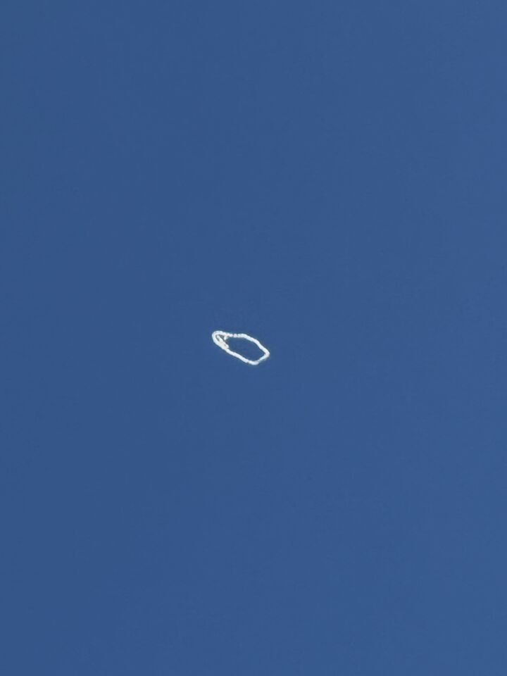 Rare witte worm foto