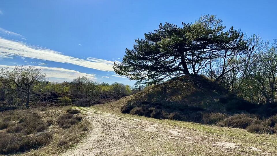 Bewegend licht in de natuur foto