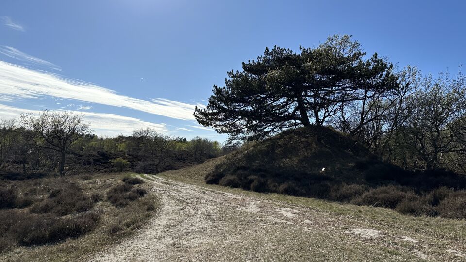 Bewegend licht in de natuur foto