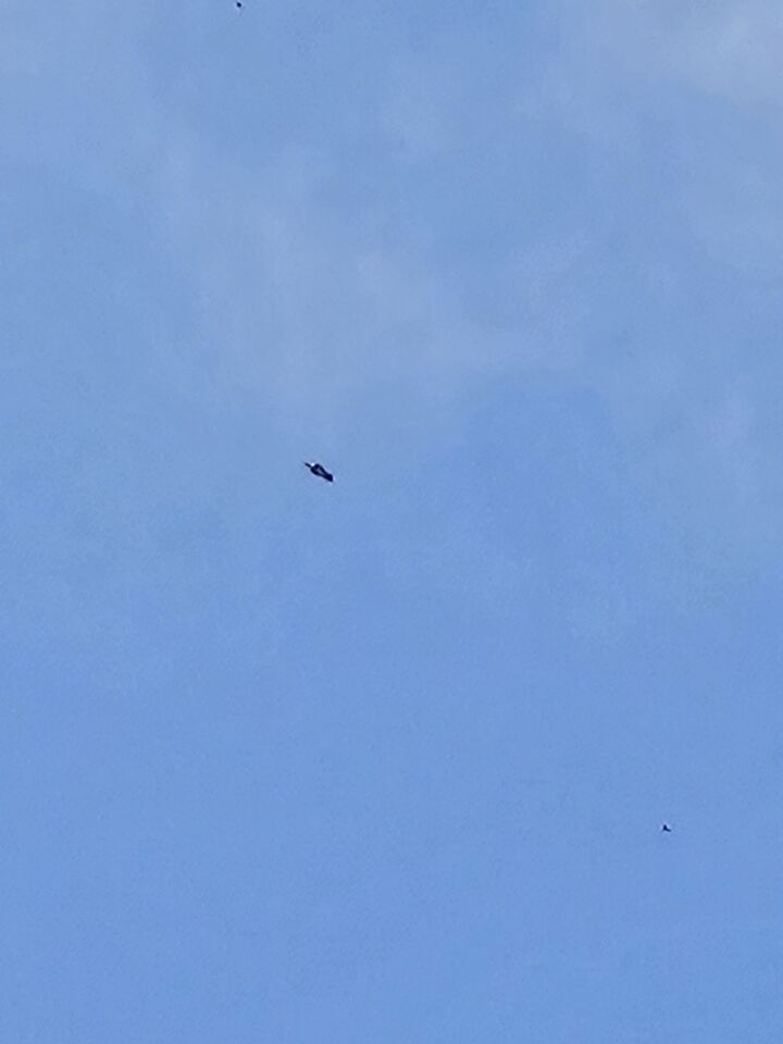 UFO Koningsdag Huizen n.h. foto