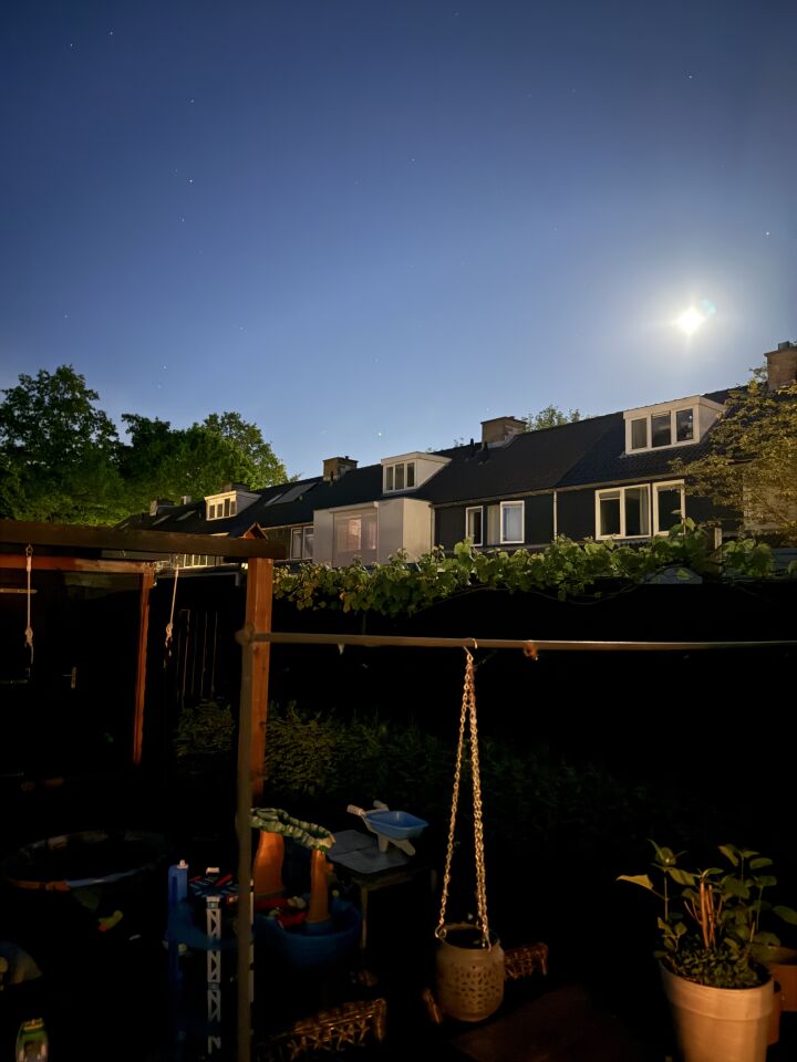 Vel groen knipperend licht huizen 10 mei foto