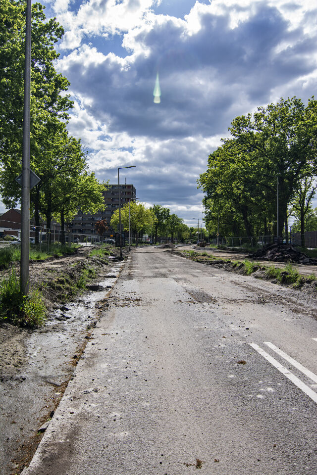 Rond met een gekleurde staart foto
