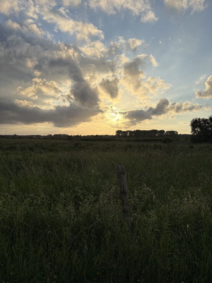 Zwerm objecten foto