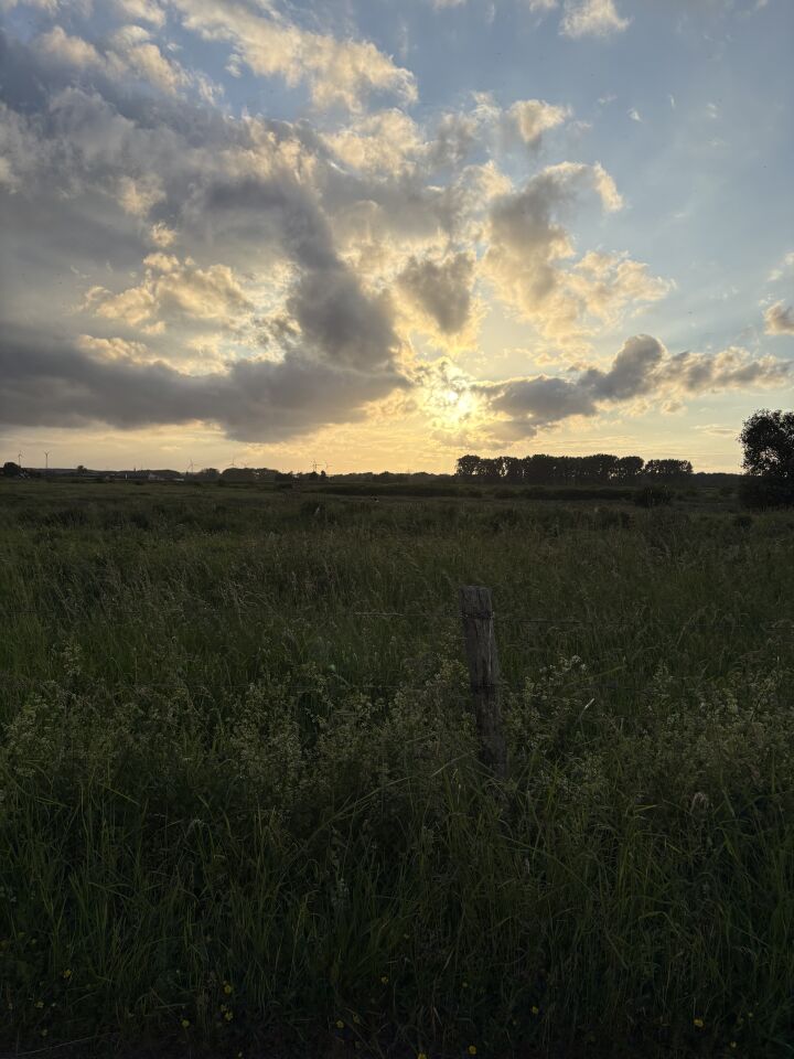 Zwerm objecten foto