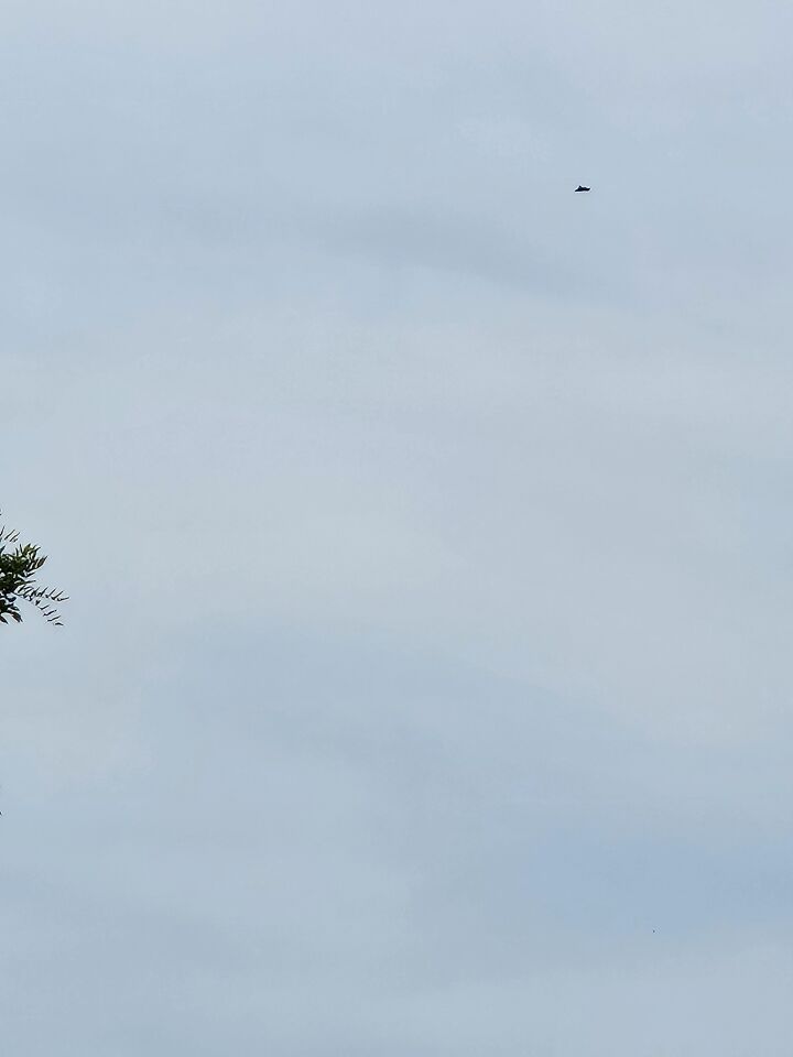 Zwarte driehoek vormig, vloog laag, klein object, geen geluid foto