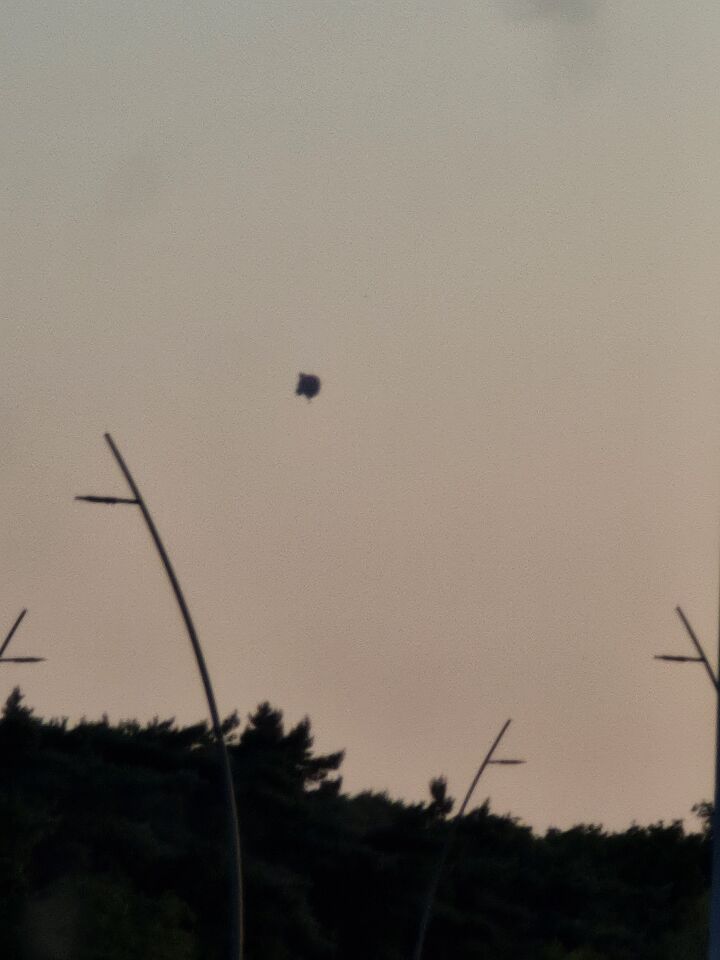 Zwarte 'bol' in de lucht Eindhoven ging te snel voor een luchtballon. foto