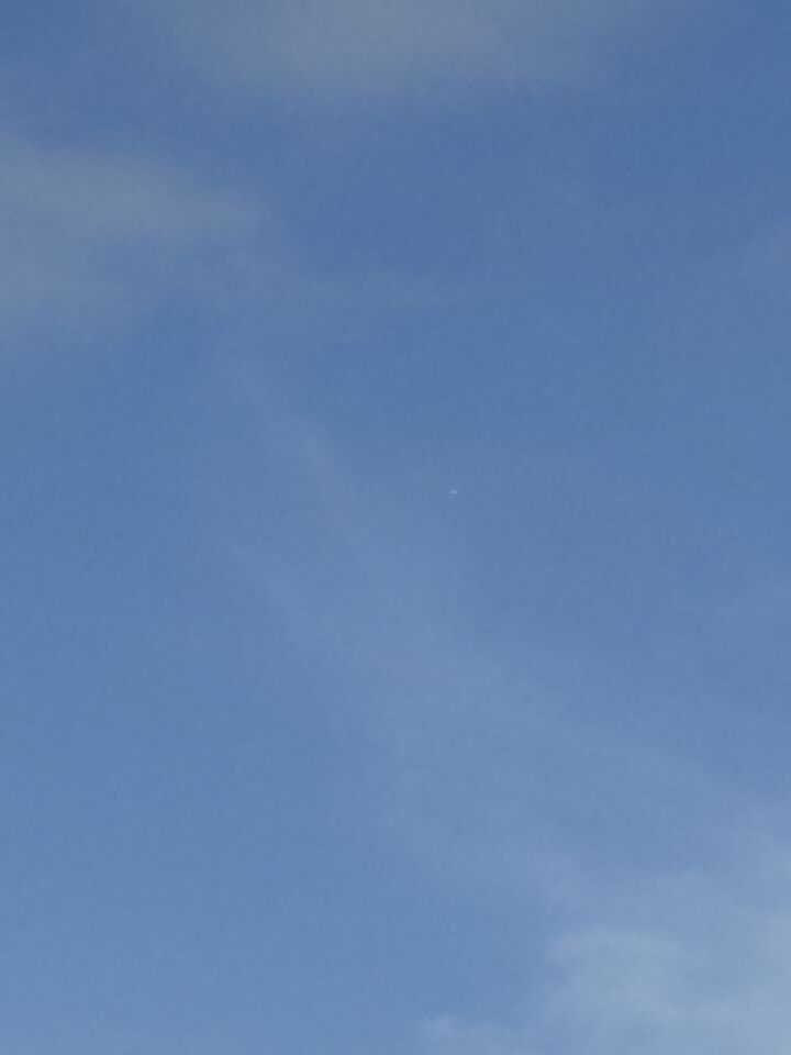 Wit ovaal foto