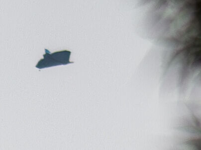 Stealth achtig object zonder veel geluid foto