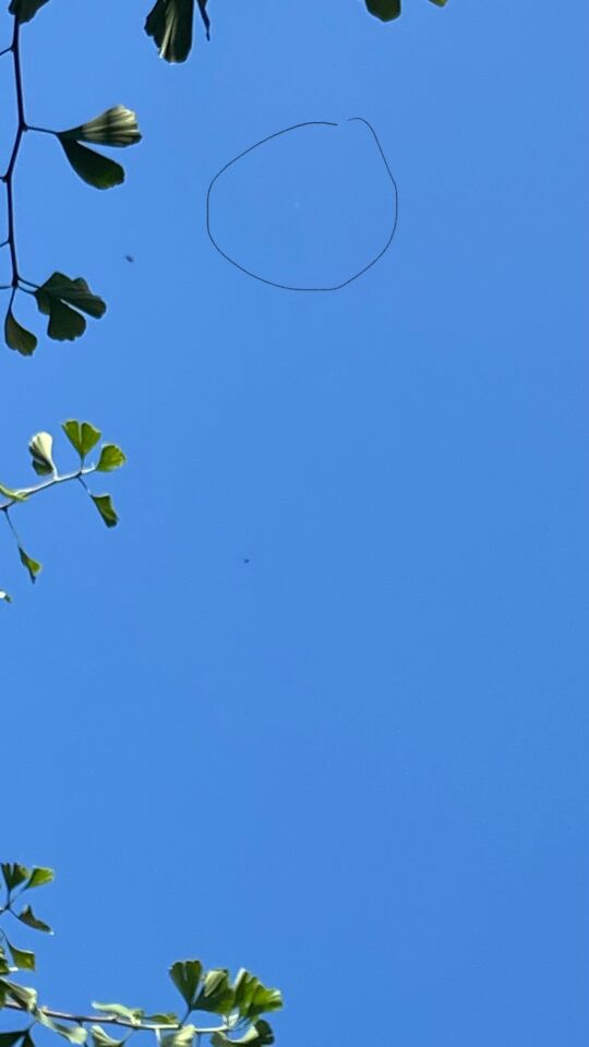 Een lichtpunt waarvan ik dacht een satelliet foto