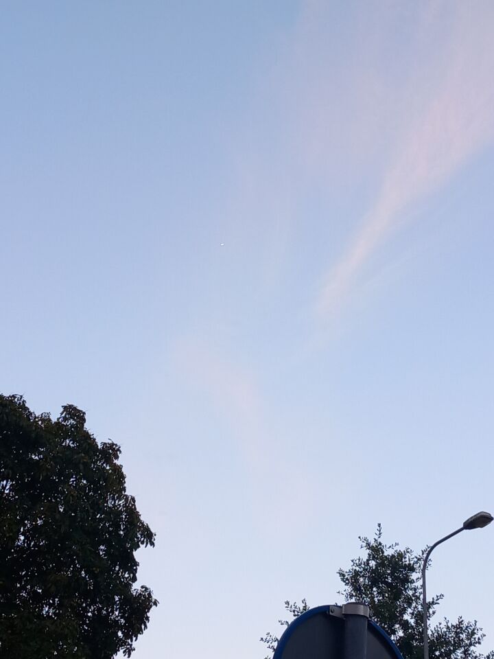 3 grijze bollen foto