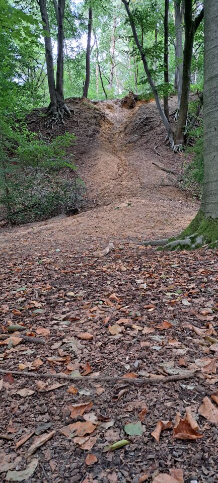 Blauwe antenne uit de grond in bosrijk gebied foto