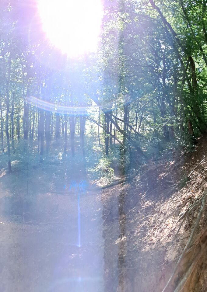 Blauwe antenne uit de grond in bosrijk gebied foto