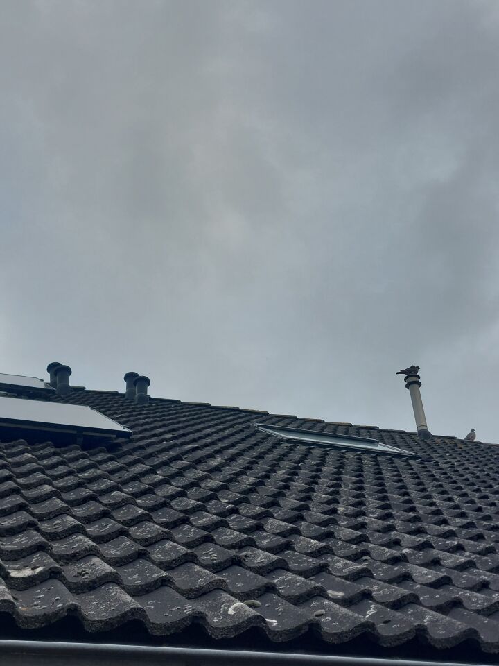 2 bollen foto