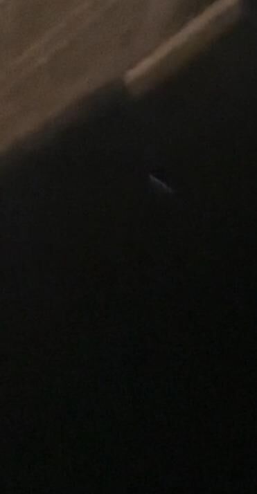 Grote buis boven Vlissingen foto