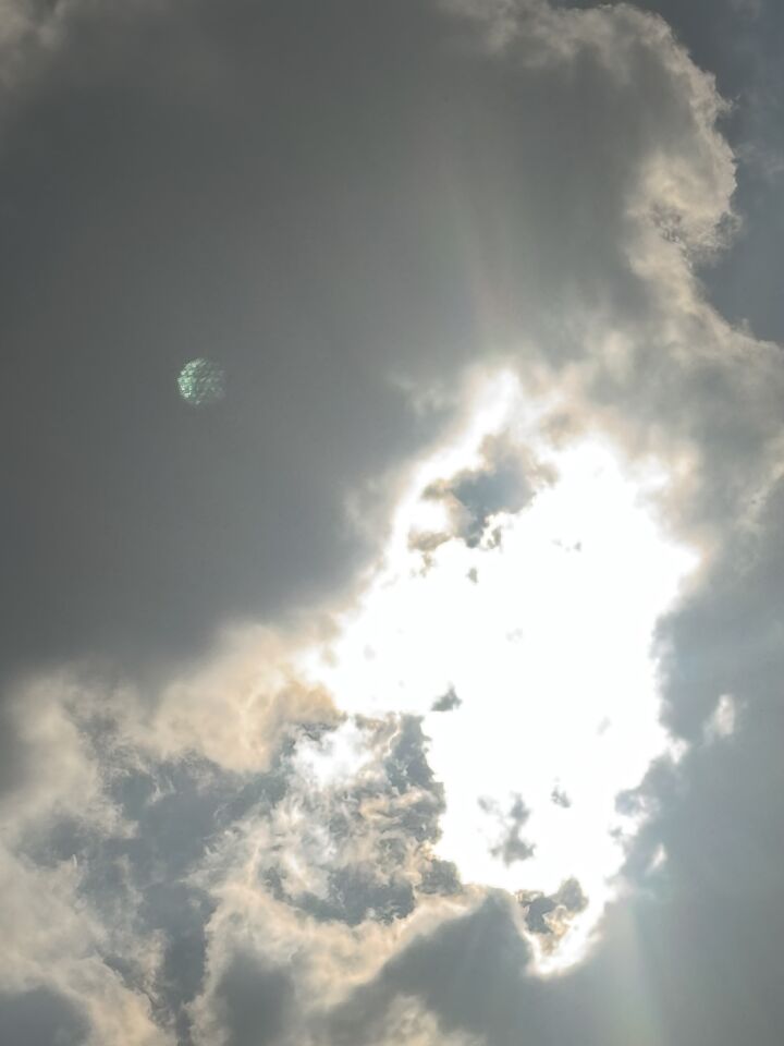 Bol in vlakken zijn nderverdeeld foto